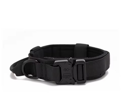 Durable Dog Collar & Leash