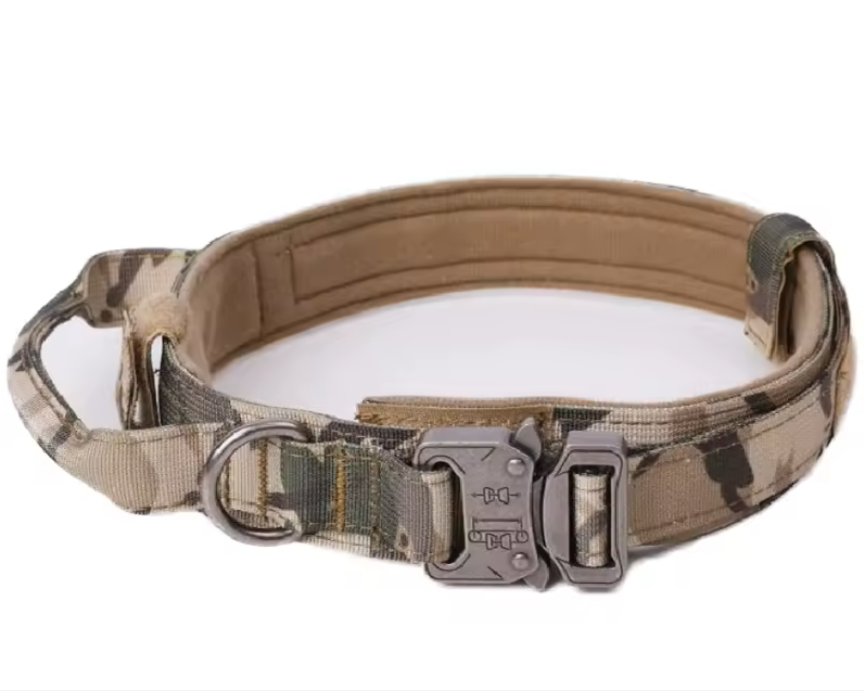 Durable Dog Collar & Leash