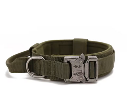 Durable Dog Collar & Leash