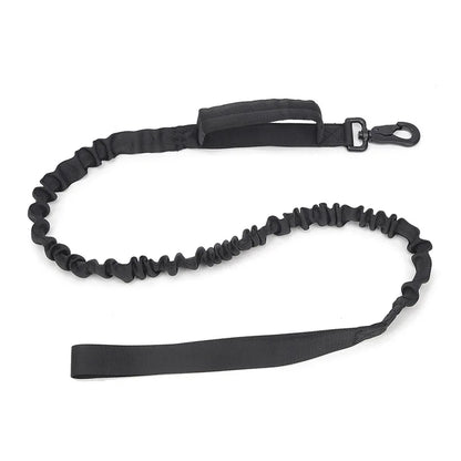 Durable Dog Collar & Leash