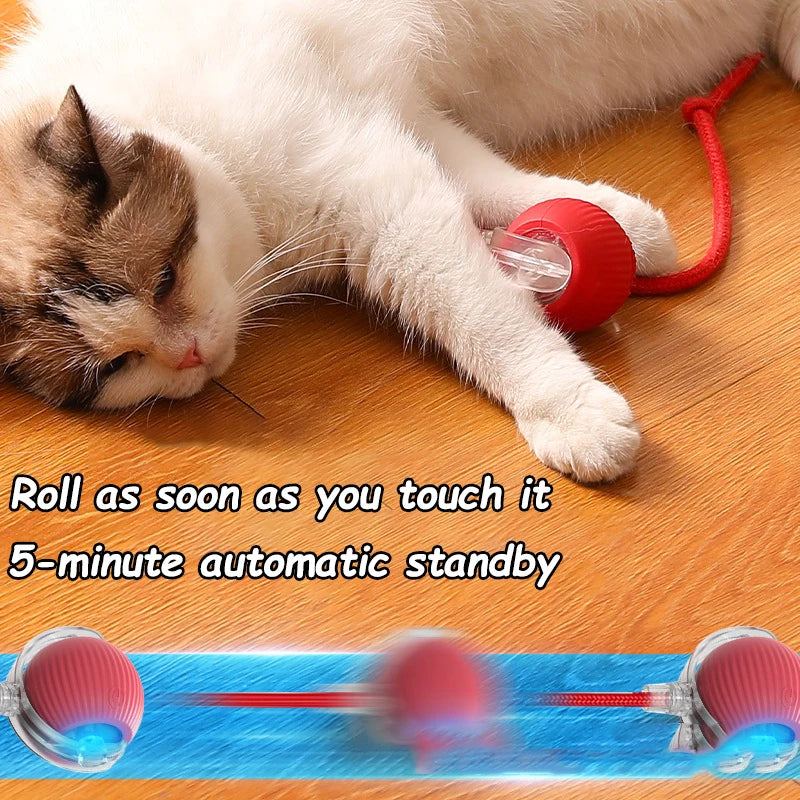 Interactive Rolling Cat Toy