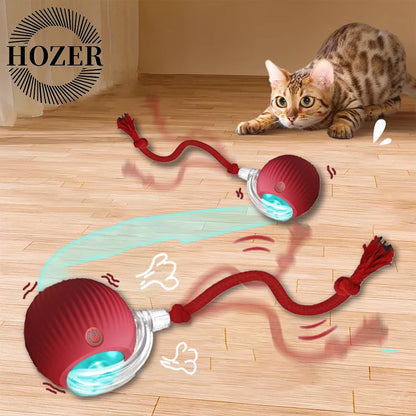 Interactive Rolling Cat Toy