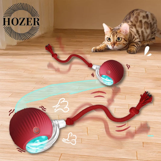 Interactive Rolling Cat Toy