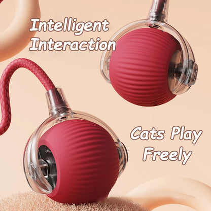 Interactive Rolling Cat Toy