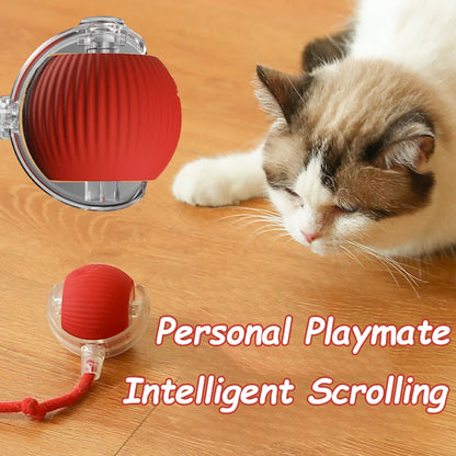 Interactive Rolling Cat Toy