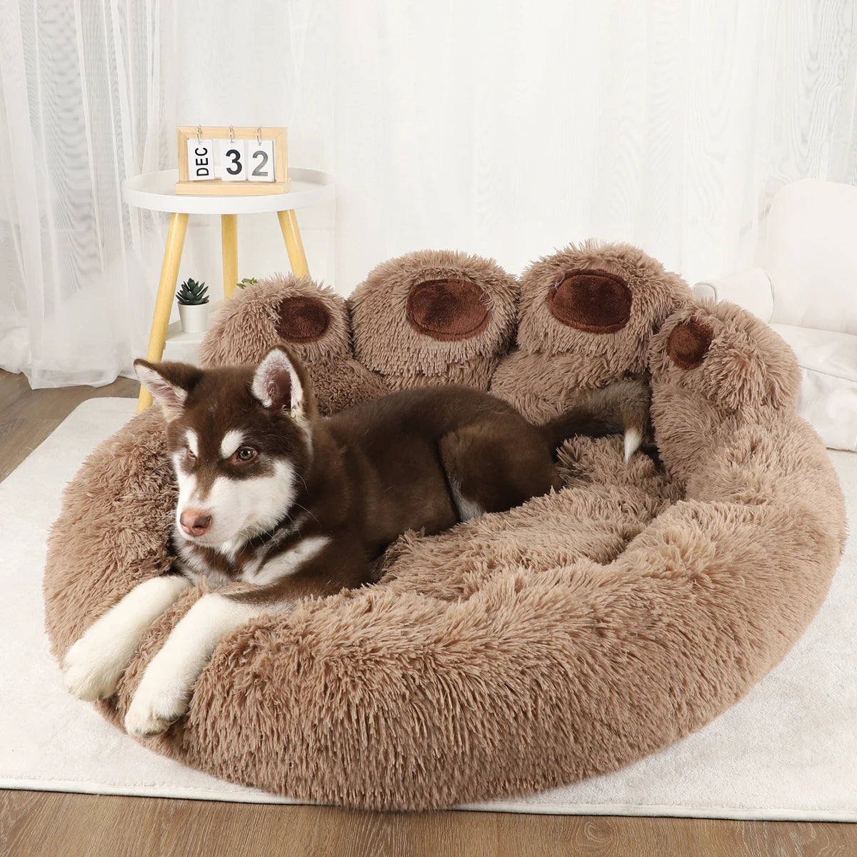 Cozy Pet Sofa Bed