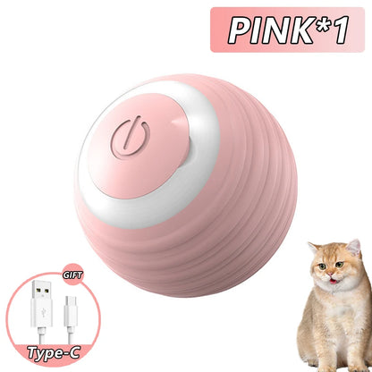 Interactive Rolling Cat Toy