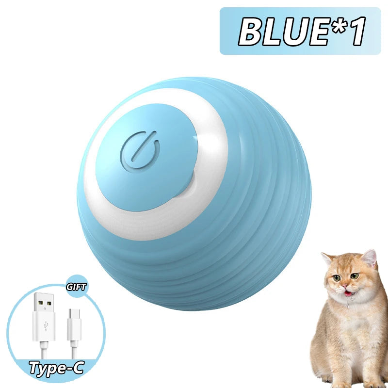 Interactive Rolling Cat Toy